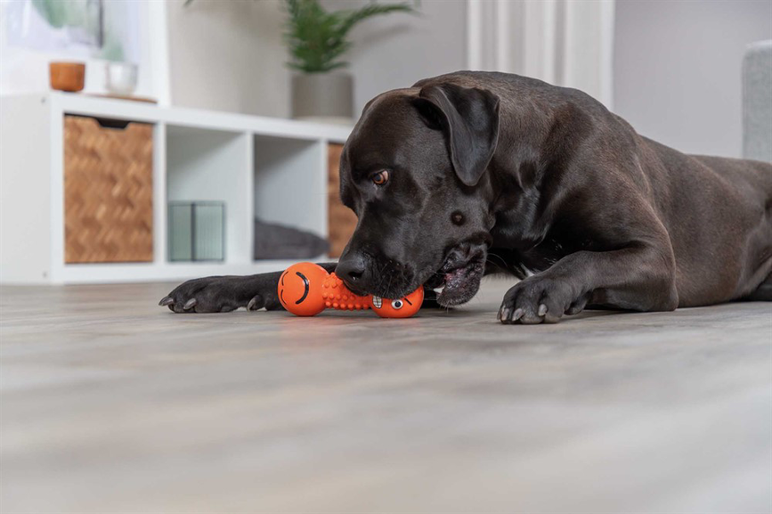 prod1000-pro_dog_35251-3.png
