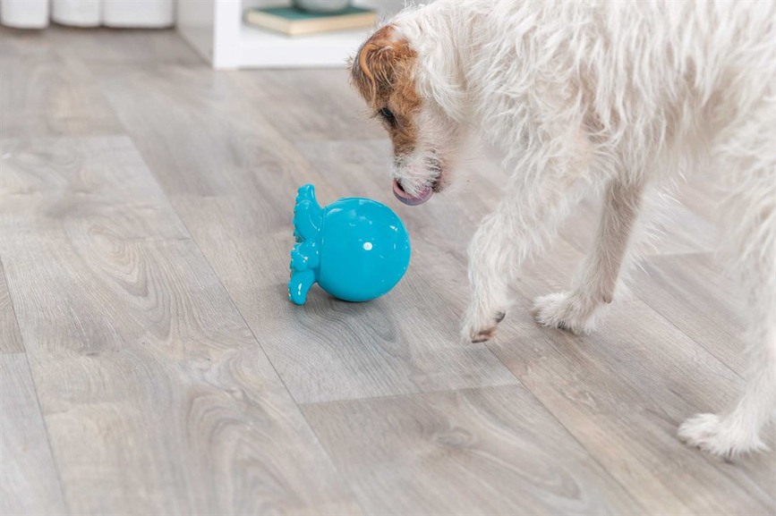 prod1000-dog_34933-3.png