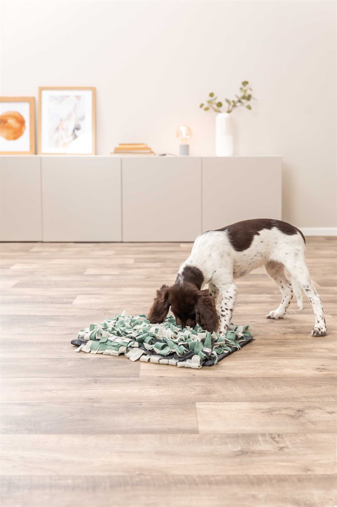 prod1000-dog_32037-10.png