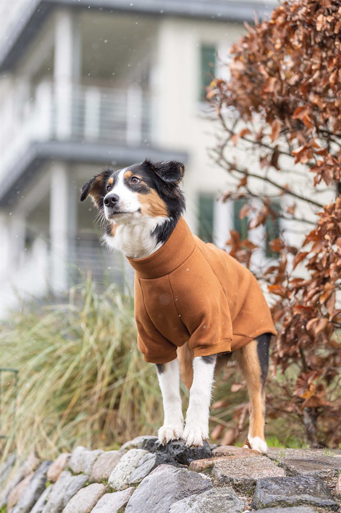 prod1000-australianshepherd-emma-sweatshirt-citystyle.png
