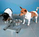 prod1000-24920_hund.png