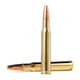 20176592-20176592-2.png
