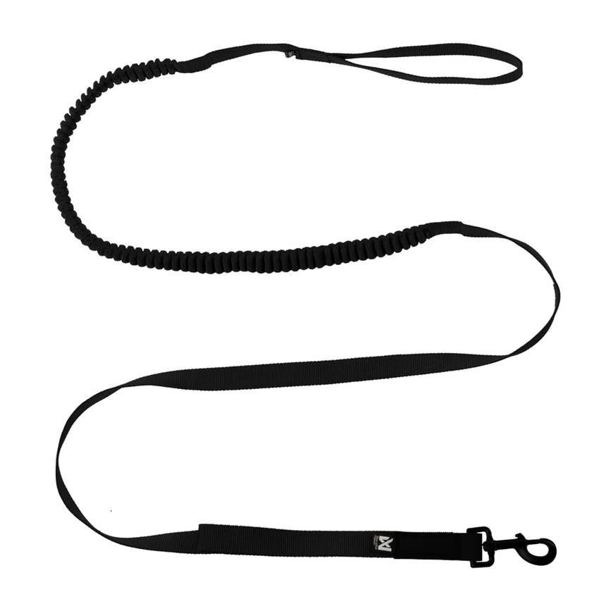 lsh-55008_01.png