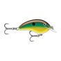 Bream