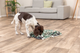 prod1000-dog_32037-9.png