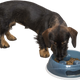 prod1000-25032-8.png