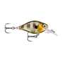 Glassy Gill UV