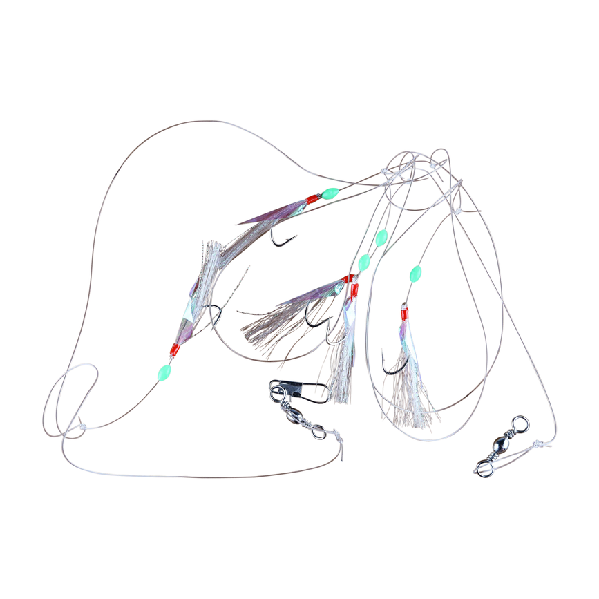20221341_a.png