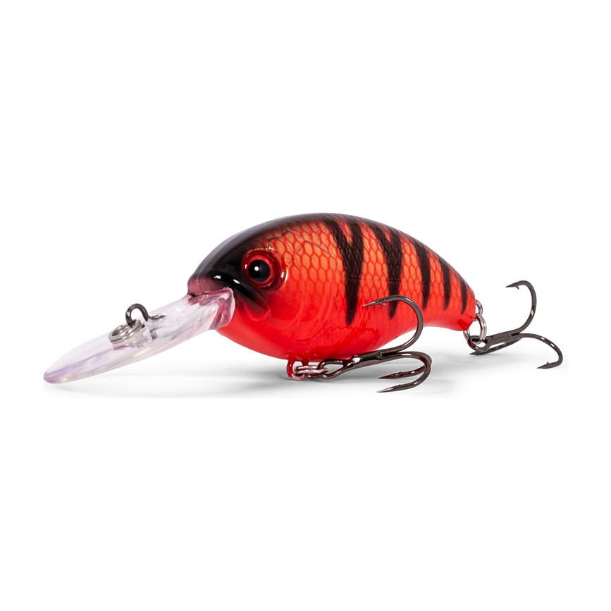 at203ftpe050_2_the_fat_50_mm_tomato_perch.png