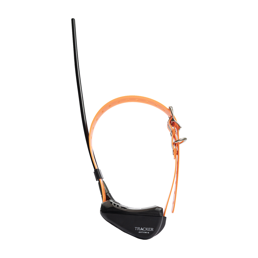 imgi_24_artemis_5d2a1123.png