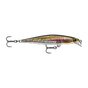 Live Rainbow Trout