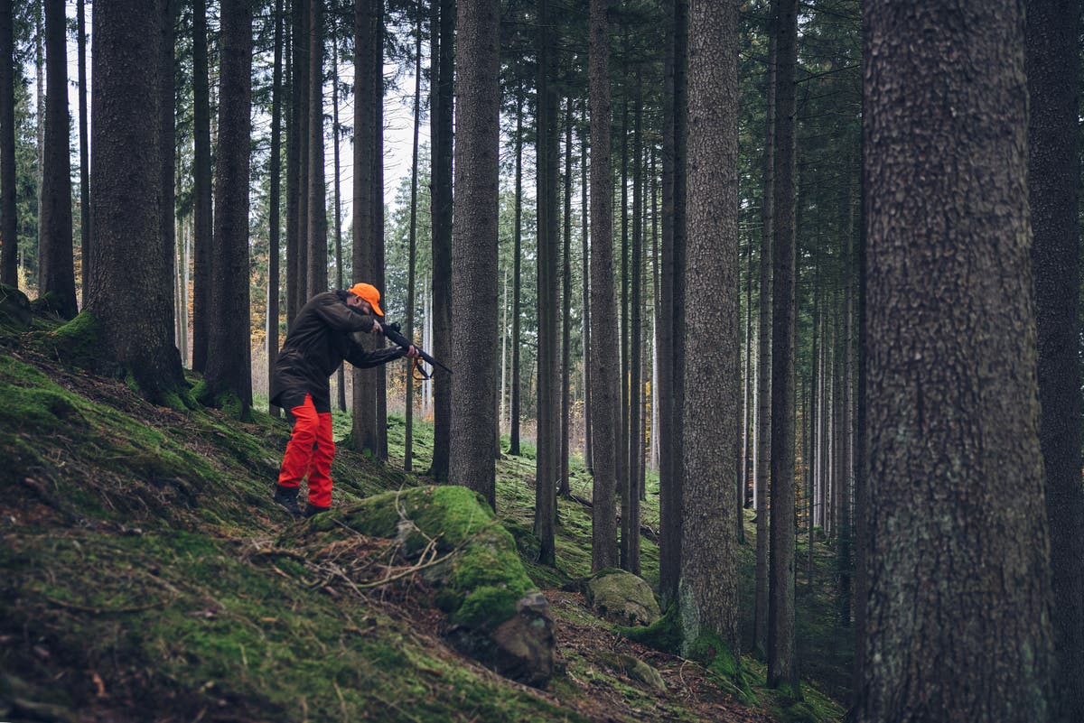 3500px_HÄRKILA_WILDBOAR_PRO_BYXA___HÄRKILA_MOUNTAINHUNTER_ANORAK___BROWNING_BAR_MK3___AIMPOINT_MICRO_H2.jpg
