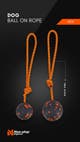 dog ball on rope story.jpg