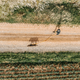 510872_e2.png