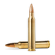 20175450-20175450-2.png