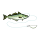5-fairpoint-public-pim-bc-84d7af27-d384-4f28-9f44-0c9bc99c47ed-s082_halibut-anti-twist-rig_x1_large.png