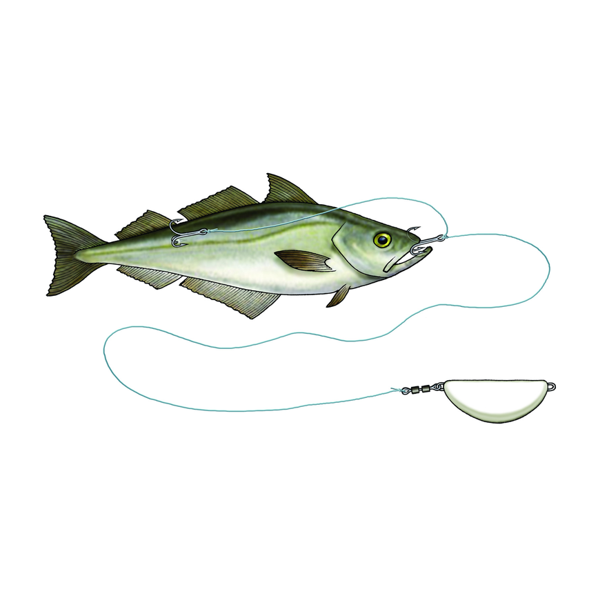 5-fairpoint-public-pim-bc-84d7af27-d384-4f28-9f44-0c9bc99c47ed-s082_halibut-anti-twist-rig_x1_large.png