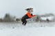protector_suit_snow_setting_1_1af9ae9a-30ec-4a49-8dec-90f2e7446d3e.jpg