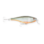 Redfin Shiner