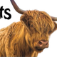 prod1000-304031_etikett-80x225-tuggstick-lamm-13cm.png