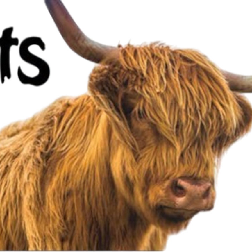 prod1000-304031_etikett-80x225-tuggstick-lamm-13cm.png