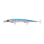 Pink Belly Sardine
