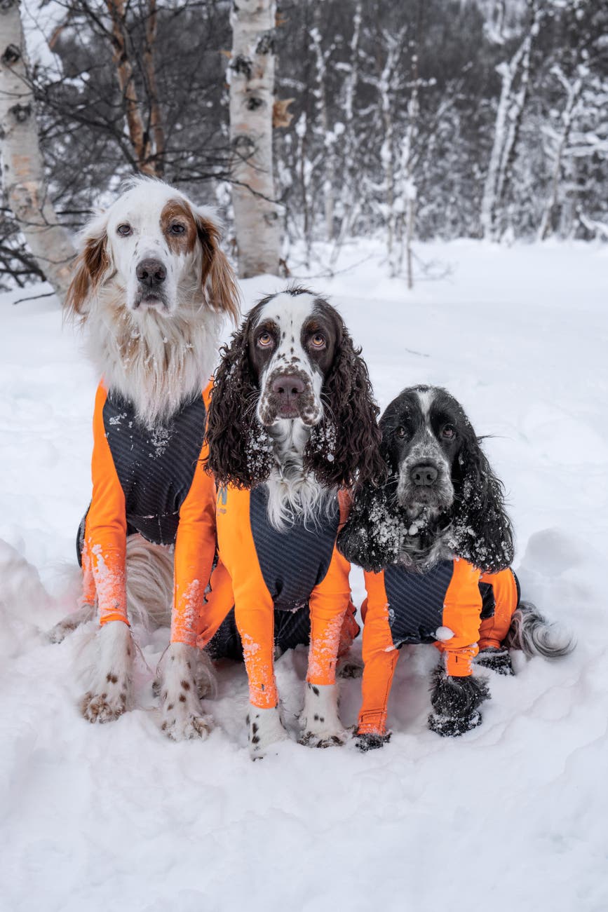 @thenordicspaniels.jpg