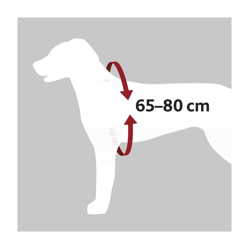 prod1000-12857-1-illustration.png