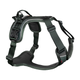 hrn-45003_06.png
