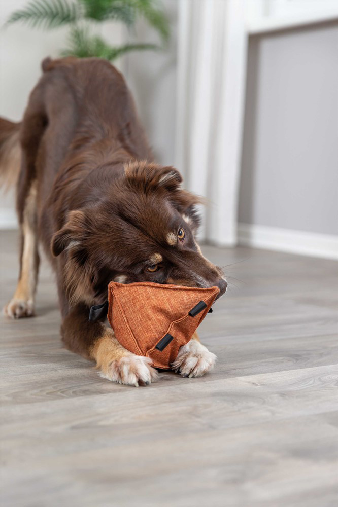prod1000-dog_34726-5.png
