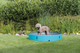 prod1000-dog_39483-1.png