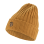 Acorn