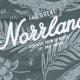 GREATNORRLANDBODY-JARVENOLIVE1.webp