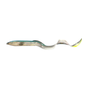 Chameleon Eel
