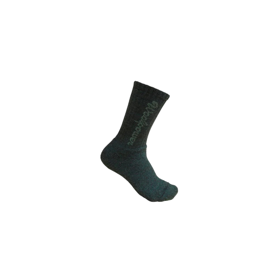 J0013247_1.png