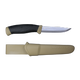 companion (s) desert_p01.png