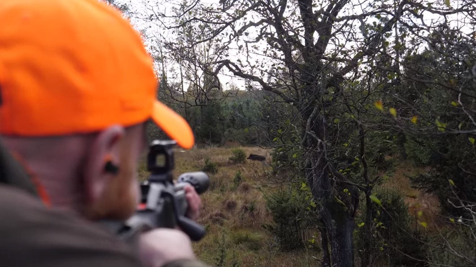 Aimpoint Film