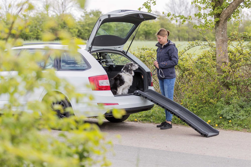 prod1000-image_dog_bordercollie-cooper-klapprampe-auto-2.png