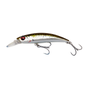 Mackerel Ayu Photo Print