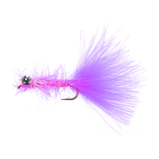 4-fairpoint-public-pim-bc-b4a0df87-56ec-4f51-be74-fa4c884a9891-fl20000vi_fl21005_large.png