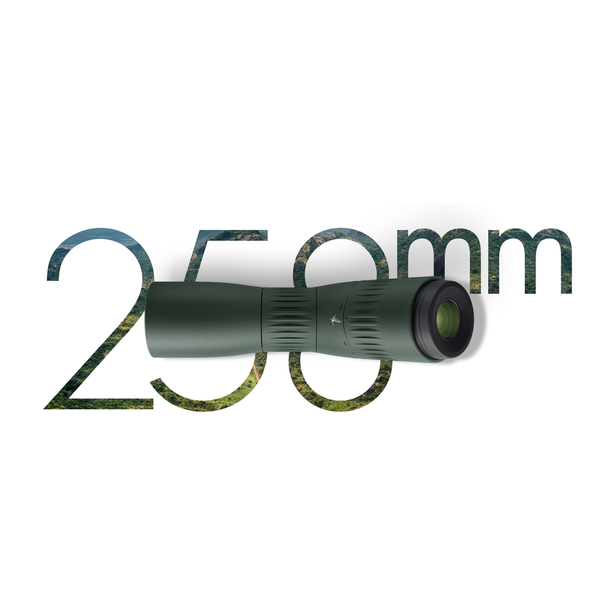 74ddauqrflz3qo1czqycit-53571651b4f5301145817d694a0f09b7-gewicht_laenge_1_neu.png