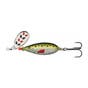 Green Back Minnow