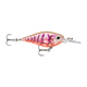 api-2000x2000,fit-new-153608.png