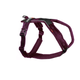 hrn-45004_41.png