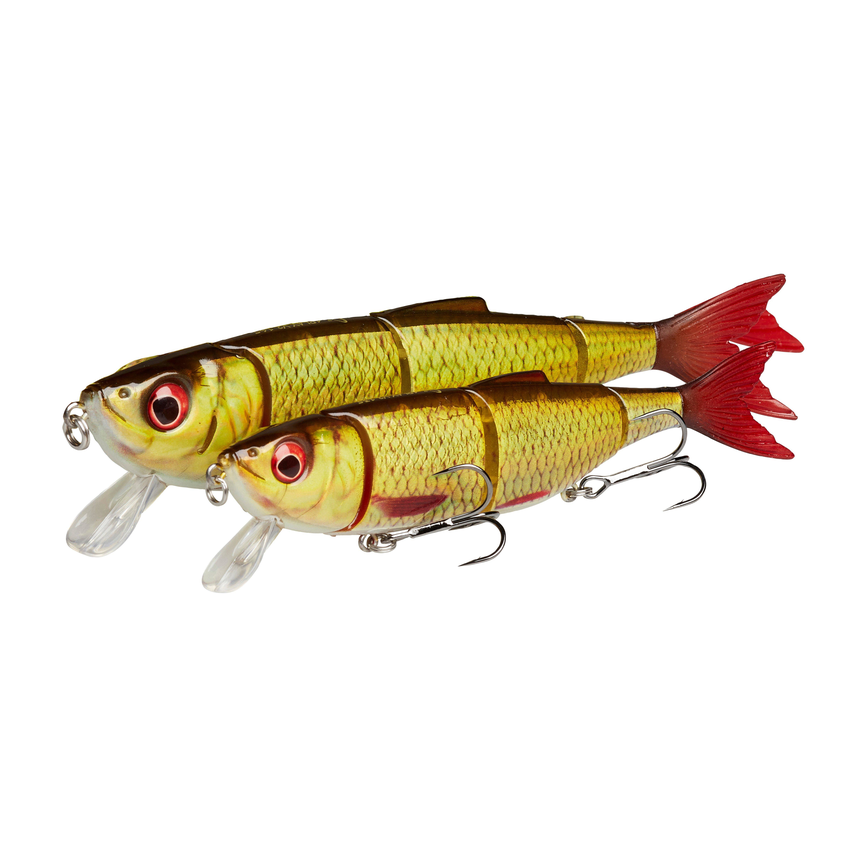 svs_sgk002_ms.png