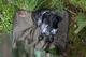 5f-b9-7f-1666618746-a1_03185.png