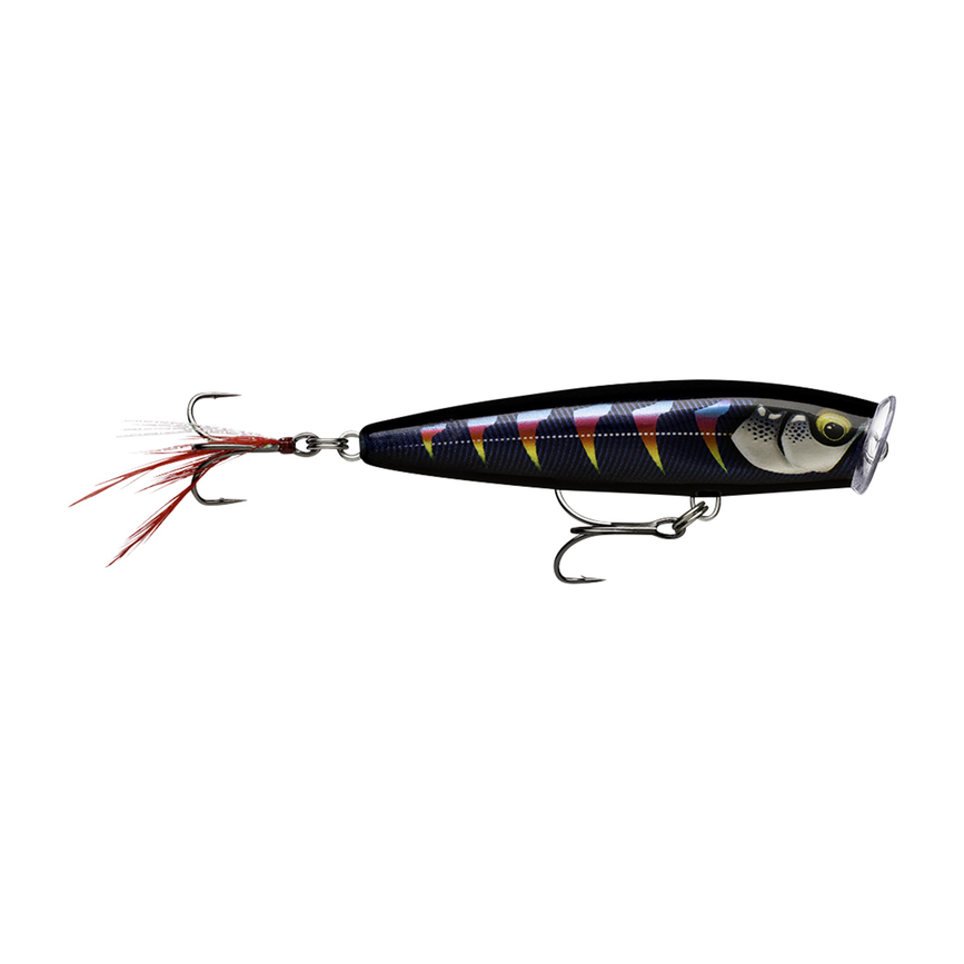 api-2000x2000,fit-new-151526.png