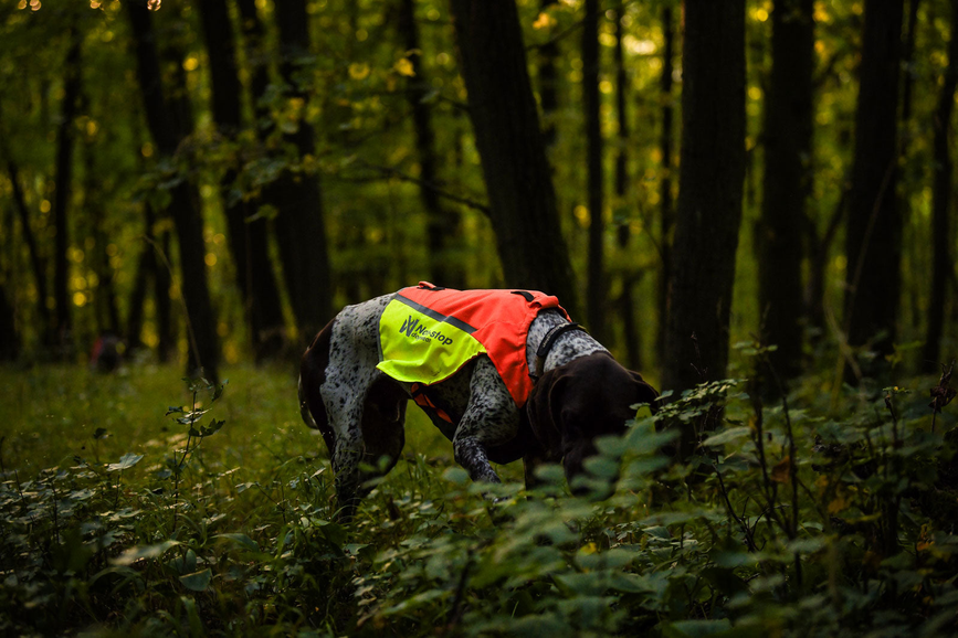 protector_vest_2_setting_1.png