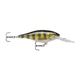 api-2000x2000,fit-new-117106.png