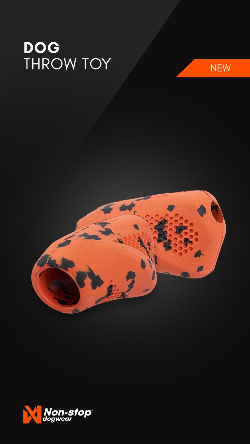 dog throw toy story.jpg